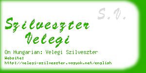 szilveszter velegi business card